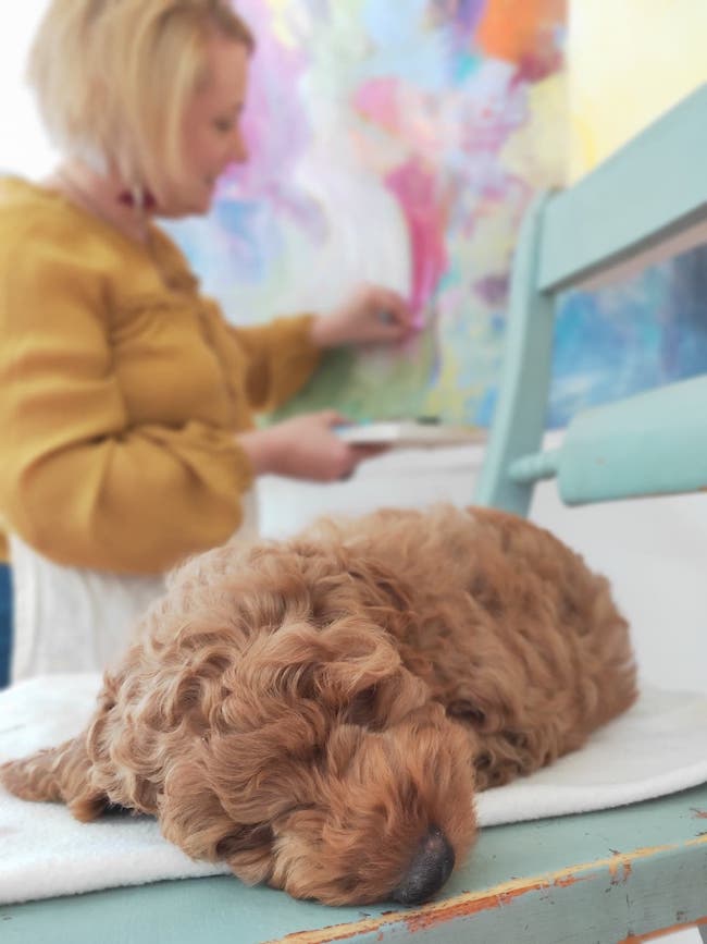 puppy studio abstract art